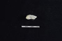 藏品(陶把)的圖片